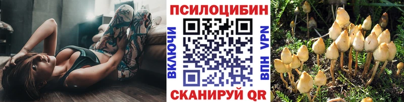 Псилоцибиновые грибы GOLDEN TEACHER  где найти наркотики  Сясьстрой 